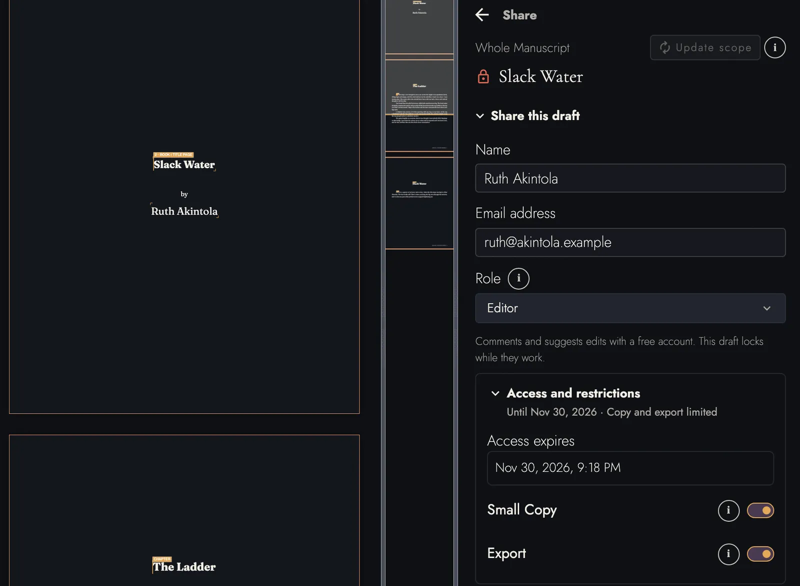 The Share panel beside the title page of Slack Water, by Ruth Akintola: Ruth Akintola invited in the Editor role, access until Nov 30, 2026, and Small Copy and Export both restricted.